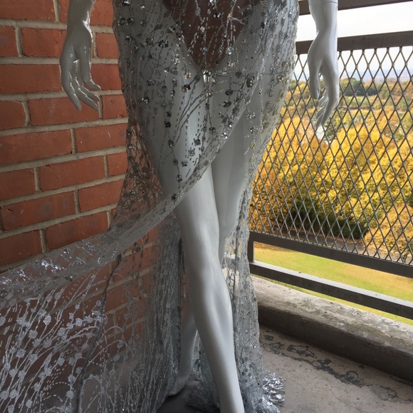 Fairy Dust Sparkle Glitter Dress: Silver - Picture 10 of 13